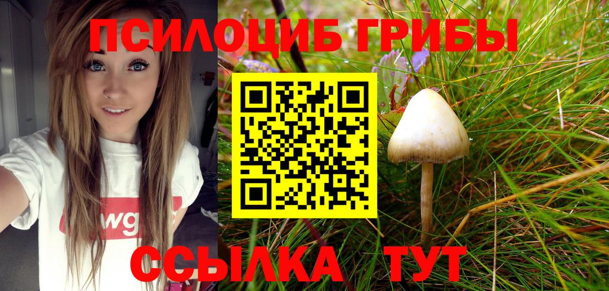 Псилоцибиновые грибы Psilocybine cubensis  Псилоцибиновые грибы Magic Shrooms  Шуя  Вход с VPN 