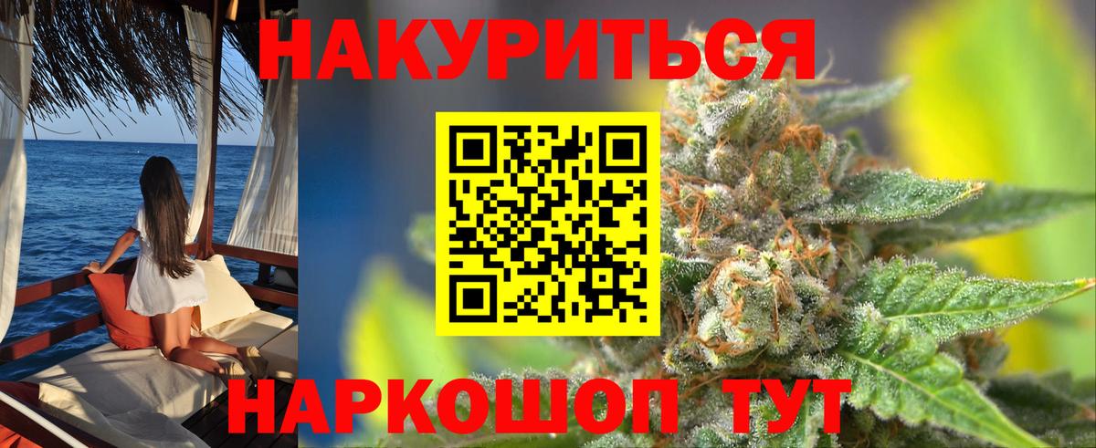 Канабис план  Конопля индика  Вход с VPN  Канабис Amnesia  Шуя 
